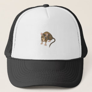 Rat Trucker Pet
