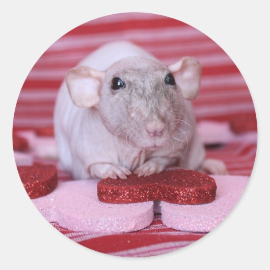 Rat Valentijn Stickers (Voorkant)