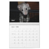 Rat van de Dag, de Kalender van de Maand (Mar 2026)