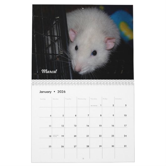 Rat van de Dag, de Kalender van de Maand (Jan 2026)