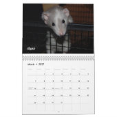 Rat van de Dag, de Kalender van de Maand (Mar 2027)