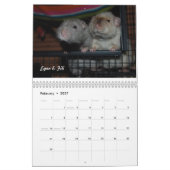 Rat van de Dag, de Kalender van de Maand (Feb 2027)