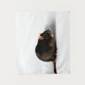 Rat wtcna wandkleed (Voorkant)