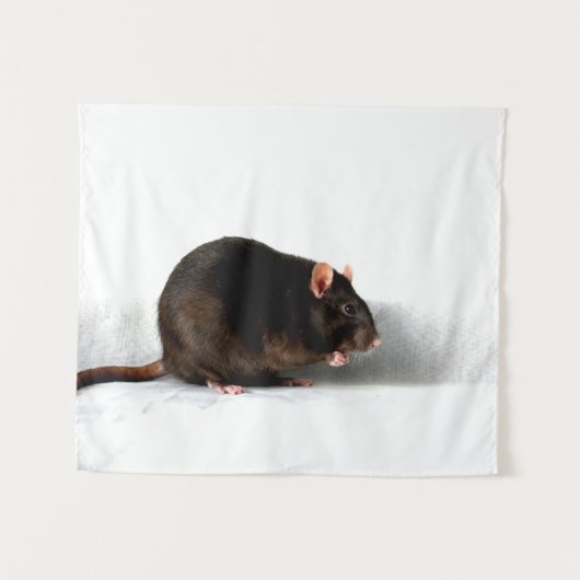 Rat wtcna wandkleed (Voorkant (horizontaal))