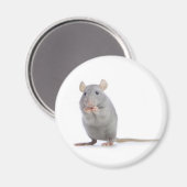 ratatouille magneet (Voorkant / Achterkant)