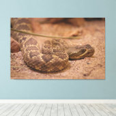 ratel canvas afdruk (Insitu (Houten vloer))