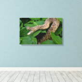 ratelslang in plant canvas afdruk (Insitu (Houten vloer))