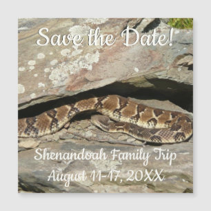 Ratelslang in Shenandoah National Park