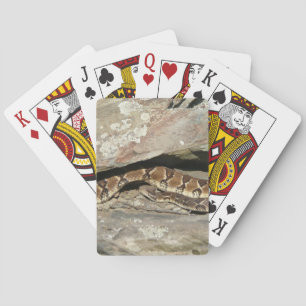 Ratelslang in Shenandoah National Park Pokerkaarten