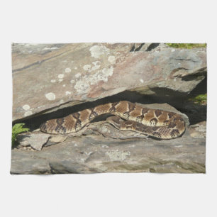 Ratelslang in Shenandoah National Park Theedoek