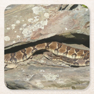 Ratelslang in Shenandoah National Park Vierkante Kartonnen Onderzetter