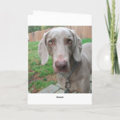 rater votre carte (Dos)