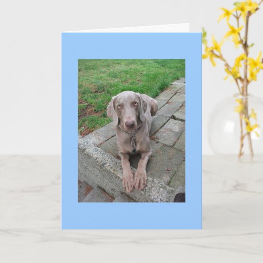 rater votre carte (Fleur jaune)