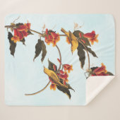 Rathbone's Warbler Song Bird op Crossvine Fleece B Sherpa Deken (Voorkant (horizontaal))