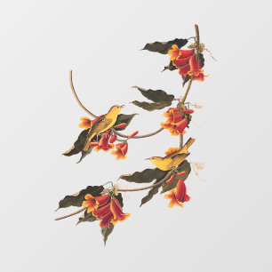 Rathbone's Warbler Song Bird op Crossvine Raamsticker