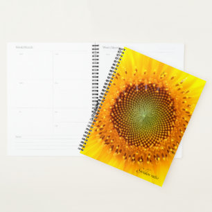 Ratio d'or, planificateur de tournesol