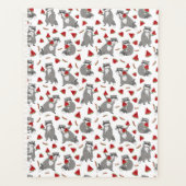 Raton laveur avec pastèque (Devant)