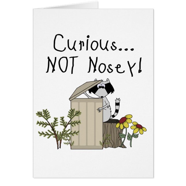 Raton laveur curieux (Devant)