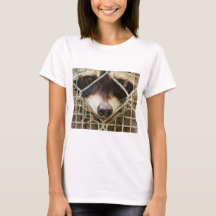 raton laveur sur des t-shirts