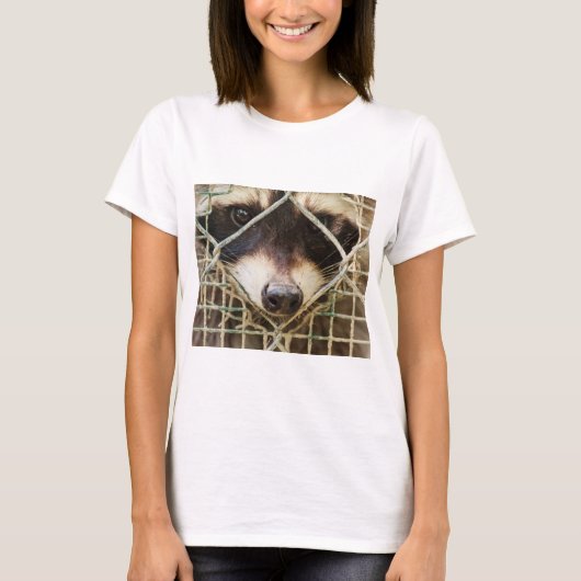 raton laveur sur des t-shirts (Devant)