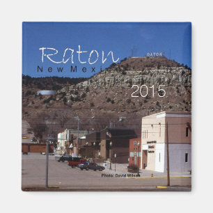 Raton New Mexico State Souvenir Fridge Magnet Magneet