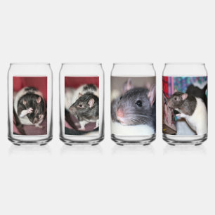 Rats