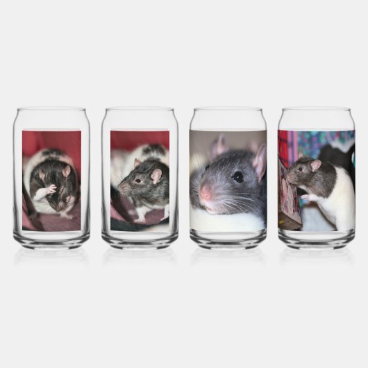 Rats (Recto)