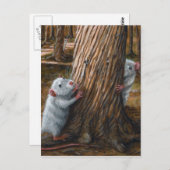 Rats par vieux arbre cache et chercher carte posta (Devant / Derrière)