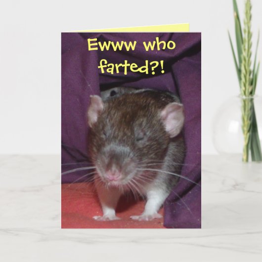 rats parlant carte de voeux personnalisable (Devant)