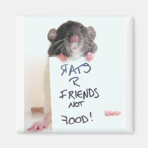 Rats R Friends Not Food 2 Magneet