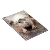 Rat's tongue ! notitieboek (Rechterzijde)