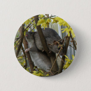Ratte knuffelt knop ronde button 5,7 cm