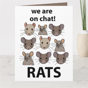 Ratten Dier We zijn op chat Grappige Ratten Kaart