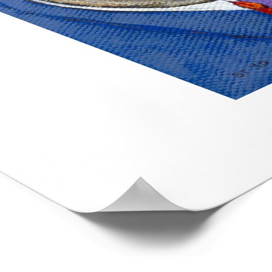 Ratten in winkelpakken roken sigaretten leuke kuns poster (Hoek)