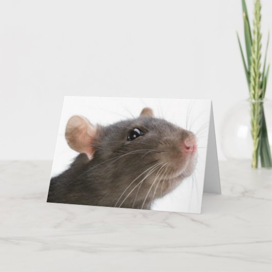 Ratten!!! Kaart (Voorkant)