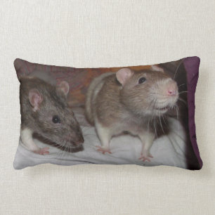 ratten lumbale kussen
