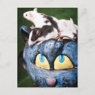 Ratten op het Briefkaart van de hersenen