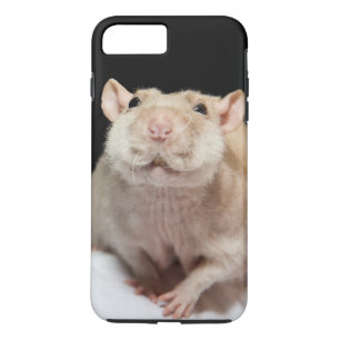 Ratten Telefoon Hoesje
