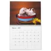 Ratten van Aimee 2010 kalender (Feb 2027)