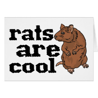Ratten zijn kool