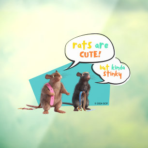 Ratten zijn Schattige, maar een beetje stinkend Raamsticker