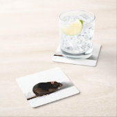 Rattencoastercina Vierkante Kartonnen Onderzetter (Insitu)