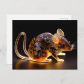 Rattie Briefkaart (Voorkant / Achterkant)