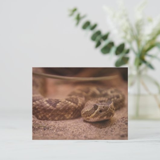 Rattle Briefkaart (Staand voorkant)