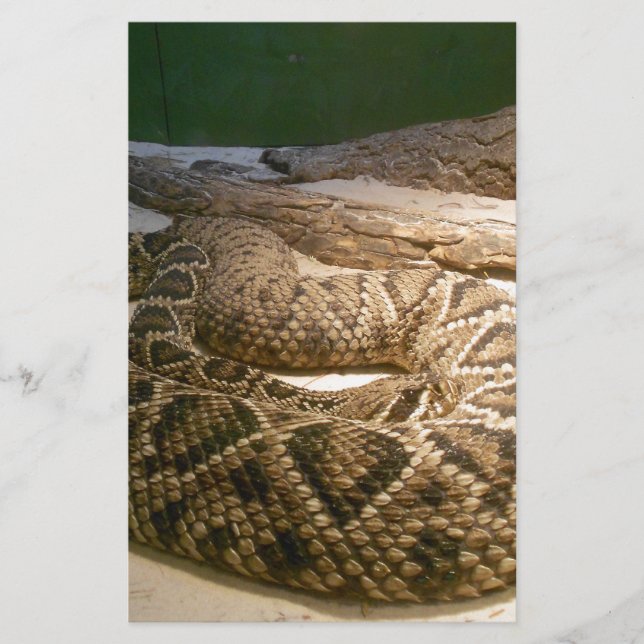 Rattle Snake (Voorkant)