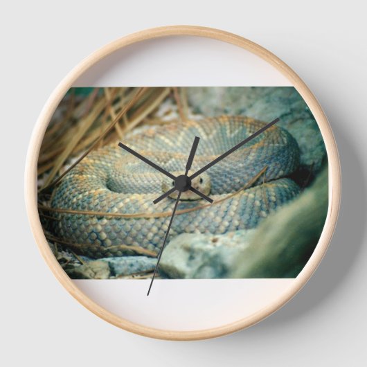 Rattlesnake (Voorkant)
