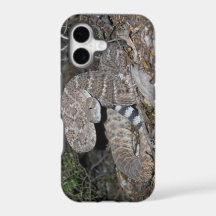 Rattlesnake