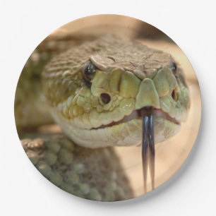 Rattlesnake Closeup Foto Papieren Bordje
