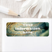 Rattlesnake Etiket (Insitu)