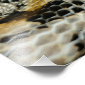 Rattlesnake Foto Afdruk (Hoek)